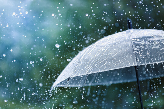 革小物が雨で濡れた場合の対処法