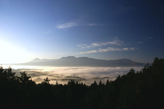 NO SIGNの革小物で迎える新年｜大人におすすめの理由とは